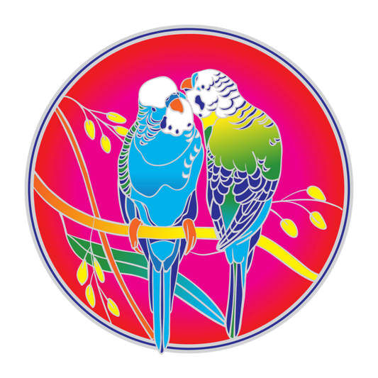 Australian Budgerigar Sunseal