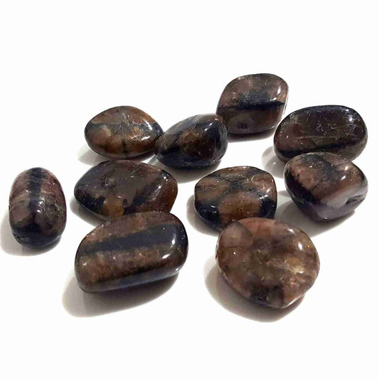 Chiastolite Tumbled Stone