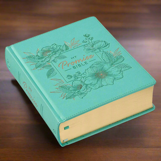 KJV My Promise Bible