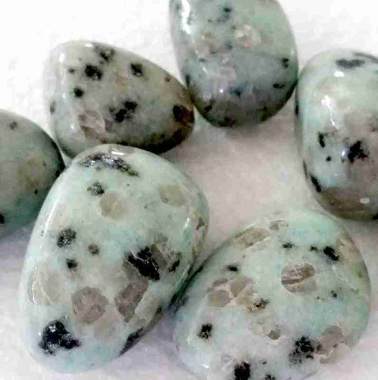 Kiwi Jasper Tumbled Stone