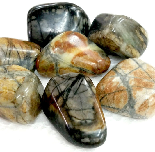 Picasso Jasper Tumbled Stone
